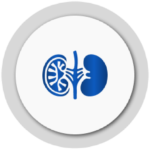 nephrology medical billing services - HMS USA Billing Company